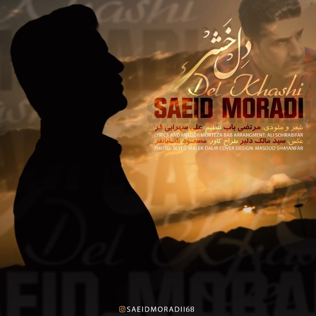 سعید مرادی دل خشی